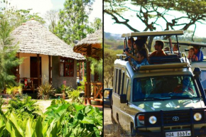 The Vijiji Center Lodge & Safari, Arusha